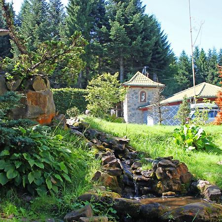 Cottage Kazka Lisu Skhidnytsia Exterior photo