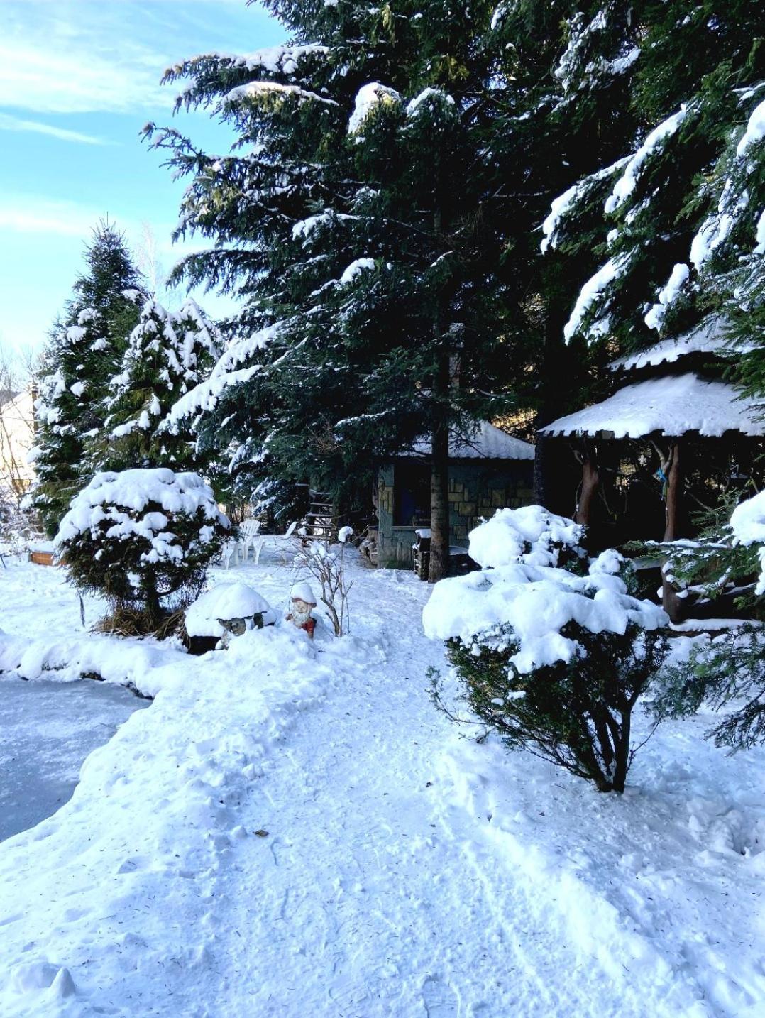 Cottage Kazka Lisu Skhidnytsia Exterior photo